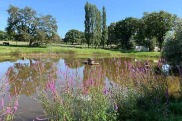 L'Etang du Pays Blanc Campsite