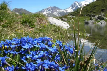 Camping Eden de la Vanoise