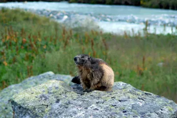Camping Eden de la Vanoise