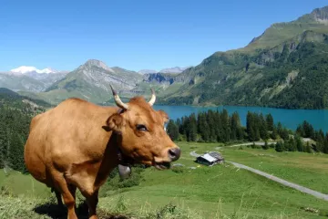 Camping Eden de la Vanoise