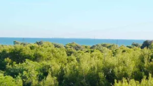 Camping Alannia Costa Blanca