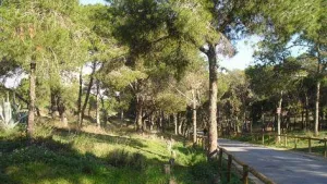 Camping Alannia Costa Blanca