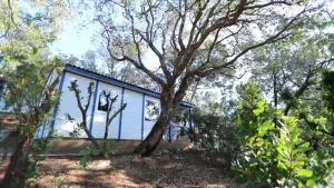 Camping U Pinarellu