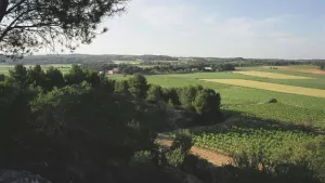 La Pinède Campsite