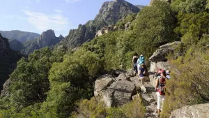 La Pinède Campsite