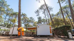 Le Vieux Port campsite