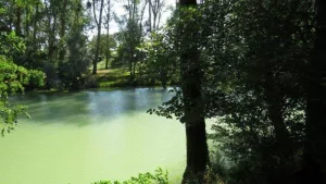 Camping La Bastide