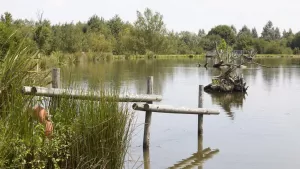 Natura Resort Pescalis Holiday Park