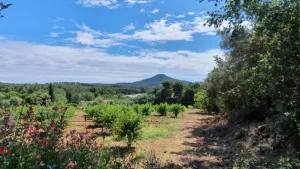 Camping Le BeauVezé