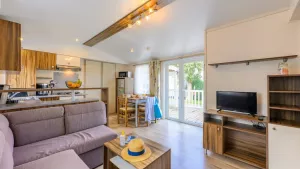 Camping L'Abri des Pins