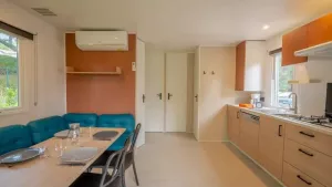 Camping Suhiberry