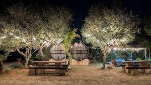 Camping Lilybeo Village 