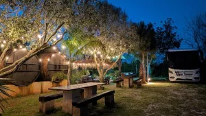 Lilybeo Village Campsite 