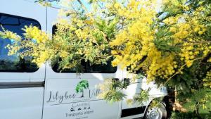 Camping Lilybeo Village 