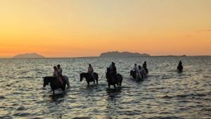 Camping Lilybeo Village 