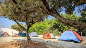 Campingplatz Lilybeo Village 
