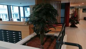 Appart'Hotel Quimper 