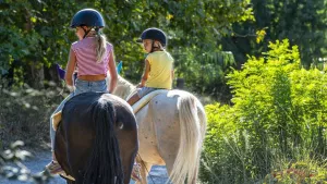 Camping Les Tamaris & Portes du Soleil