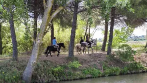 Camping Les Tamaris & Portes du Soleil