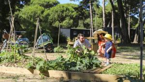 Camping Tamarins Plage