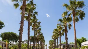 Camping Vendrell Platja