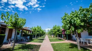 Camping Vendrell Platja