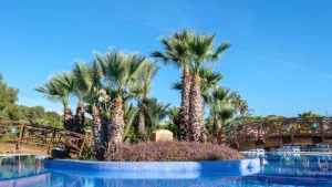 Camping Torre de la Mora