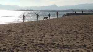 Platja Cambrils Campsite