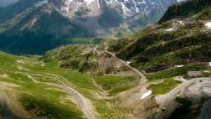 Flower Camping  A La Rencontre du Soleil