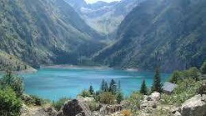 Flower Camping  A La Rencontre du Soleil