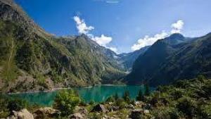 Flower Camping  A La Rencontre du Soleil