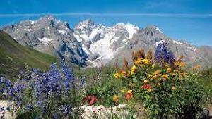 Flower Camping  A La Rencontre du Soleil