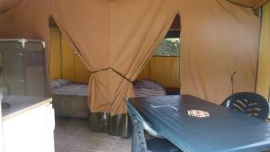 Flower Camping LA BEXANELLE