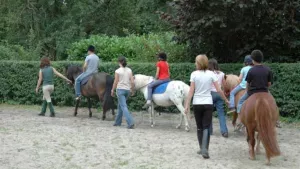Camping Le Chenal