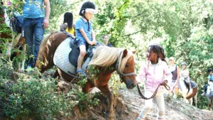 Camping L'Abri des Pins