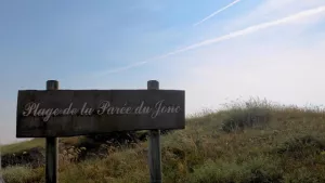 Camping L'Abri des Pins
