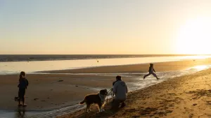 Camping L'Abri des Pins