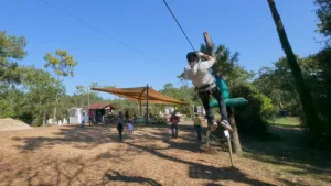 Camping L'Abri des Pins