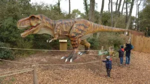Camping L'Abri des Pins