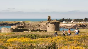 Camping L'Abri des Pins