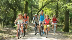 Camping L'Abri des Pins