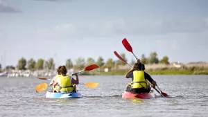 Camping L'Abri des Pins