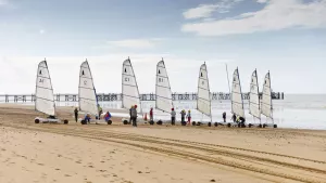 Camping L'Abri des Pins