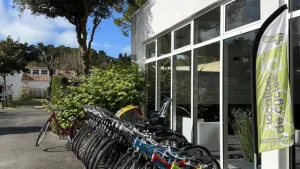 Camping L'Abri des Pins