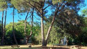 Camping Ushuaïa Villages Les Fougères - Maeva