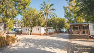 Camping Sant Salvador