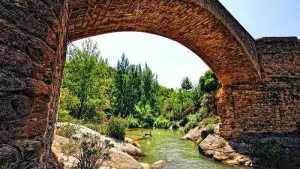 Altomira Campsite 