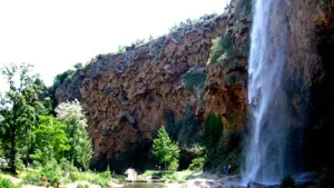 Altomira Campsite 