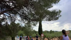 Altomira Campsite 
