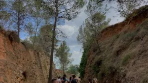 Altomira Campsite 